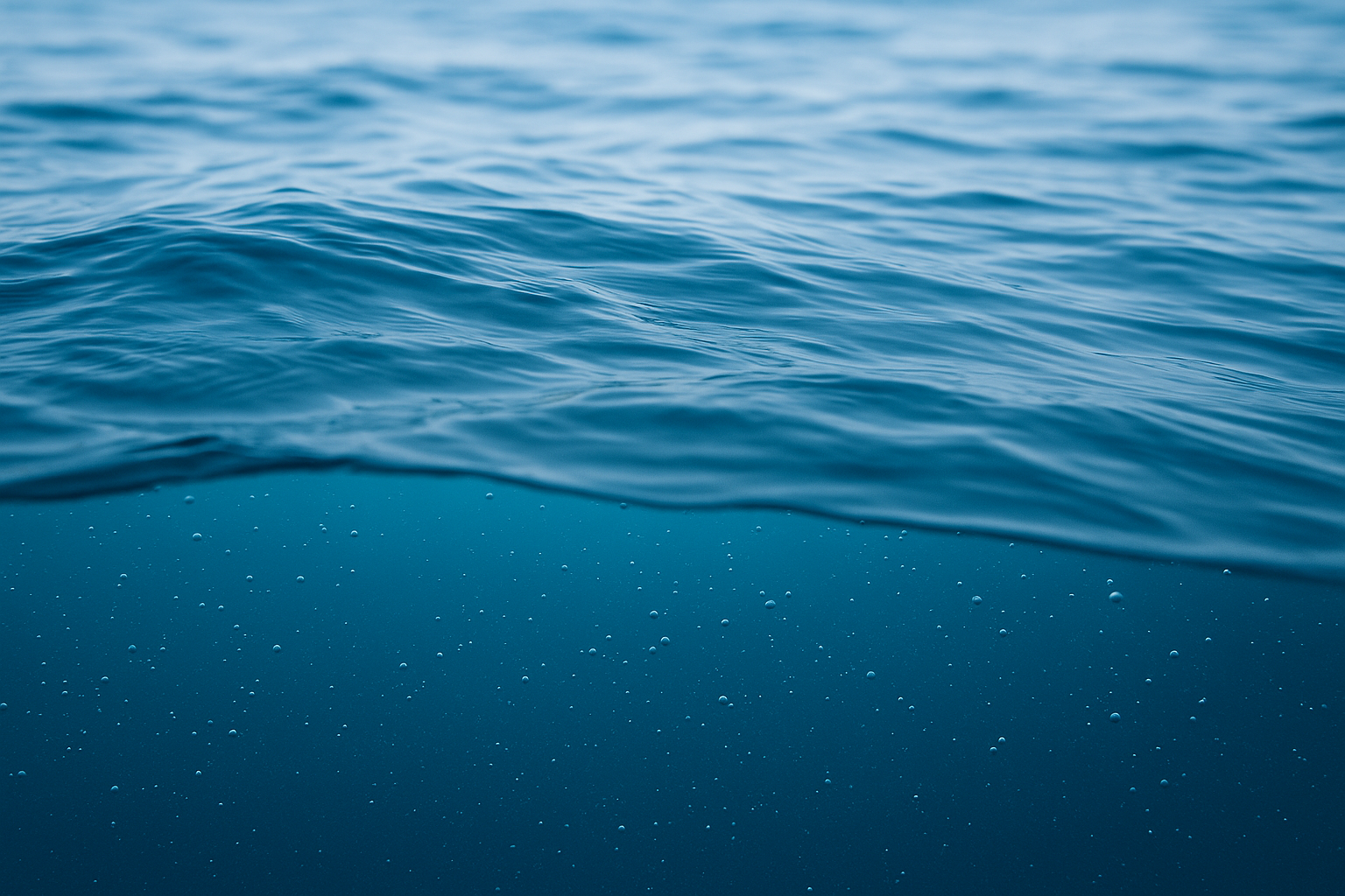 Installation du BarakaFilter